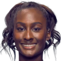 界最高水平 界最高水平